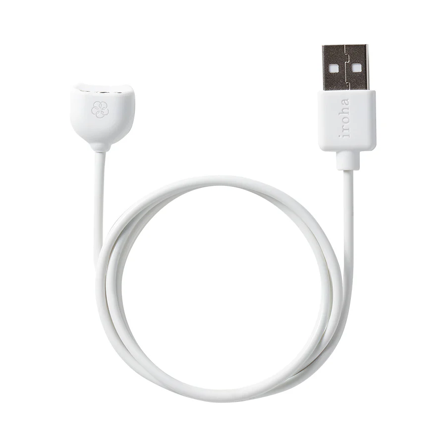 304-iroha-temari-charging-cable-1.webp iroha temari Charging Cable