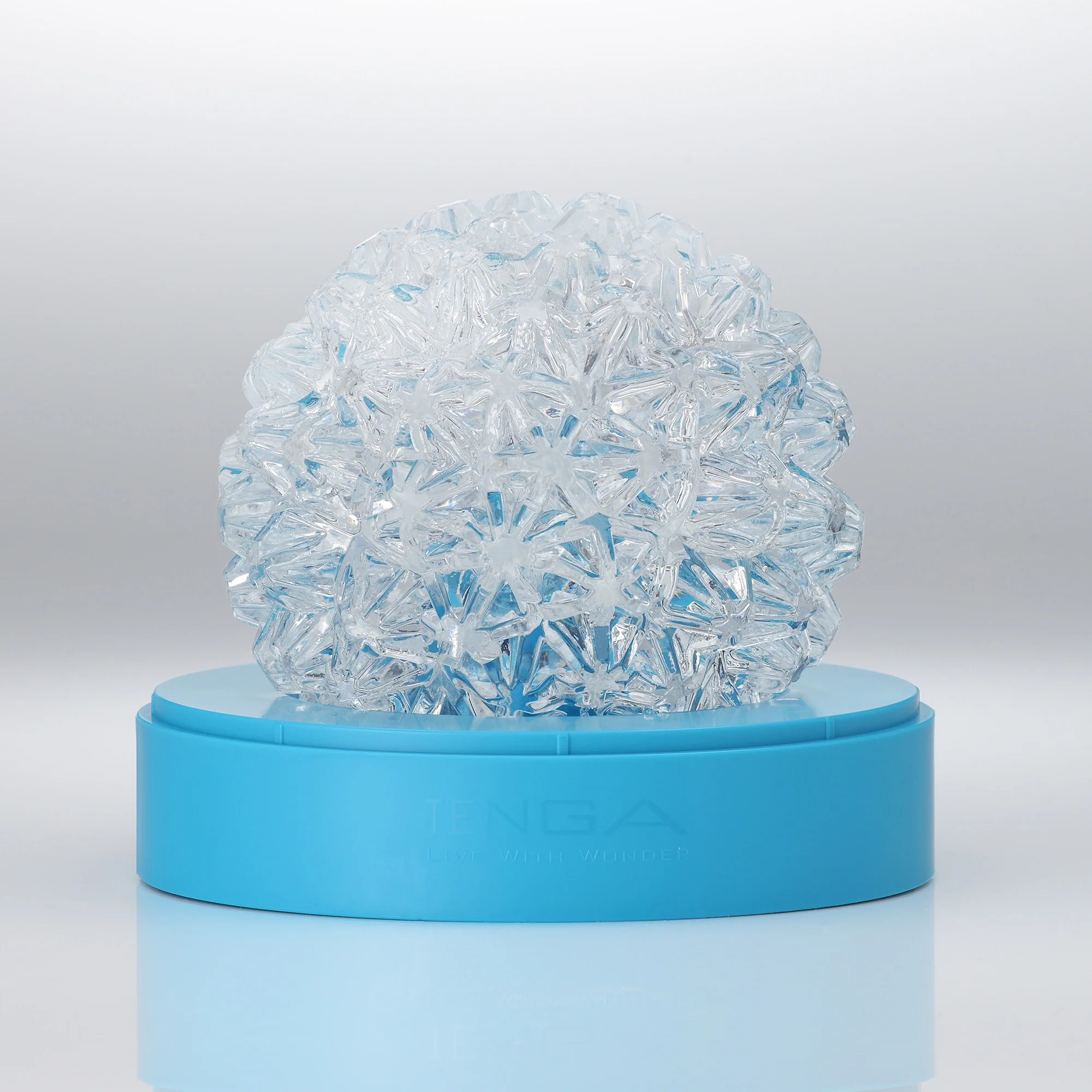 73-geo-coral-4.webp GEO CORAL